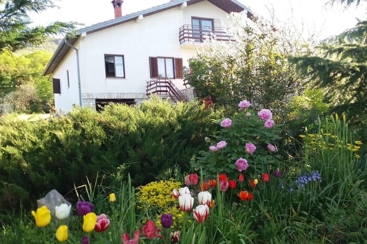 Kuca Sonja Villa Vranje Exterior photo